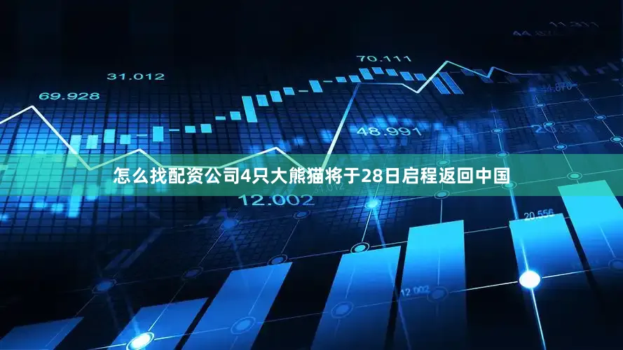 怎么找配资公司4只大熊猫将于28日启程返回中国