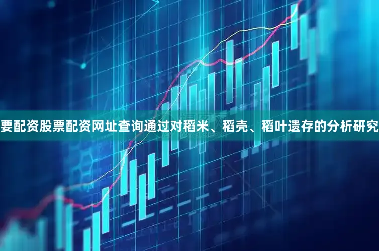要配资股票配资网址查询通过对稻米、稻壳、稻叶遗存的分析研究