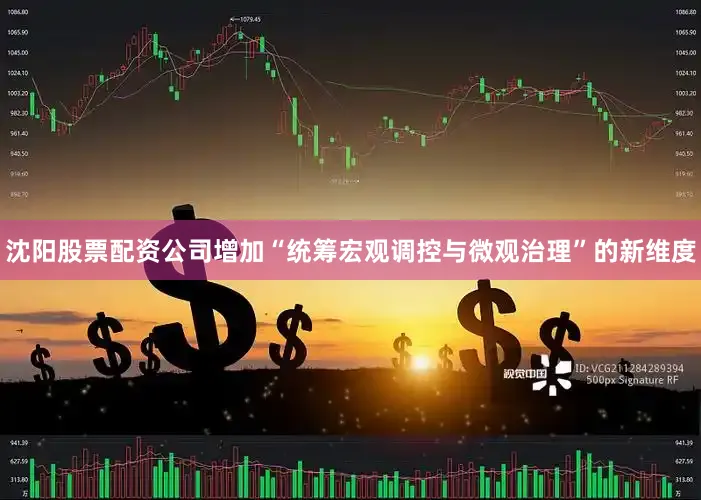 沈阳股票配资公司增加“统筹宏观调控与微观治理”的新维度