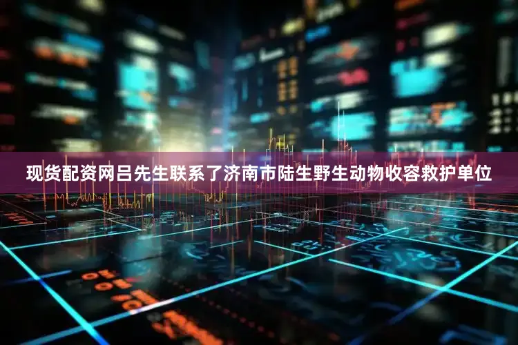 现货配资网吕先生联系了济南市陆生野生动物收容救护单位