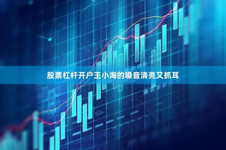股票杠杆开户王小海的嗓音清亮又抓耳