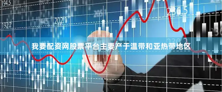 我要配资网股票平台主要产于温带和亚热带地区