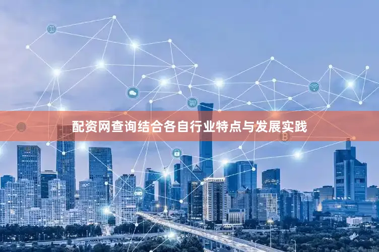 配资网查询结合各自行业特点与发展实践