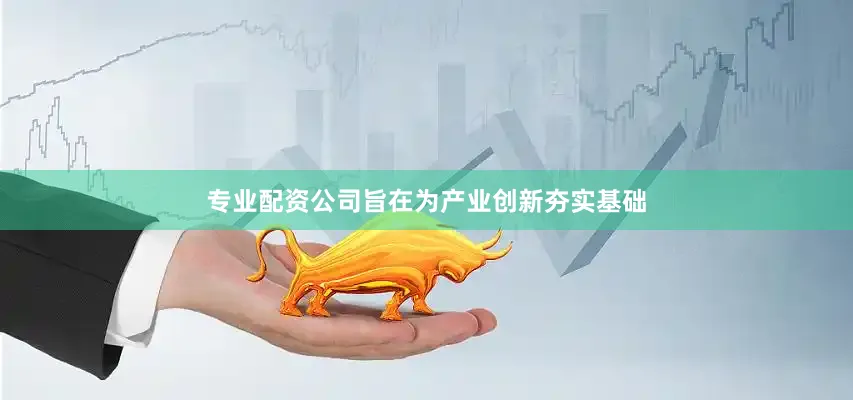 专业配资公司旨在为产业创新夯实基础